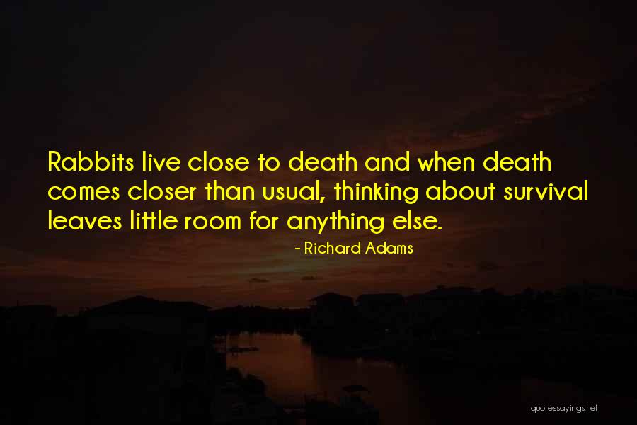 Lelinda Culea Quotes By Richard Adams Lelinda Culea Quotes By Richard Adams