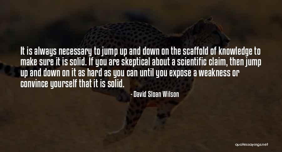 Lemarie Mini Quotes By David Sloan Wilson Lemarie Mini Quotes By David Sloan Wilson