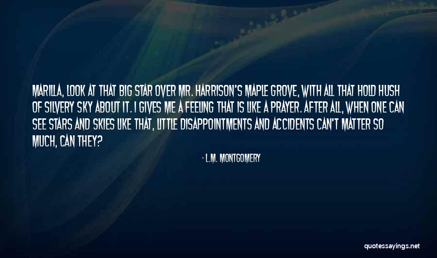 Lematic Slicer Quotes By L.M. Montgomery Lematic Slicer Quotes By L.M. Montgomery