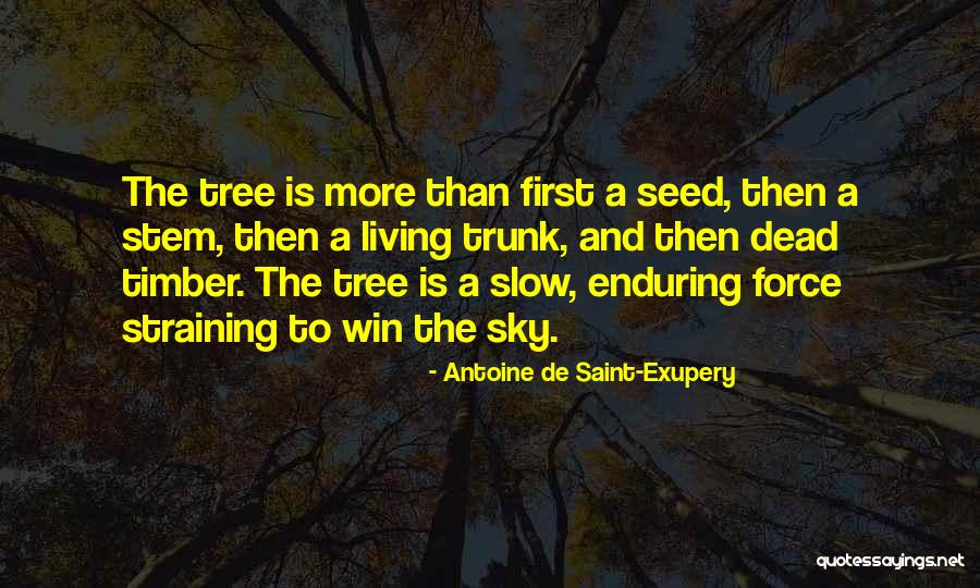 Lemesurier Quotes By Antoine De Saint-Exupery Lemesurier Quotes By Antoine De Saint-Exupery