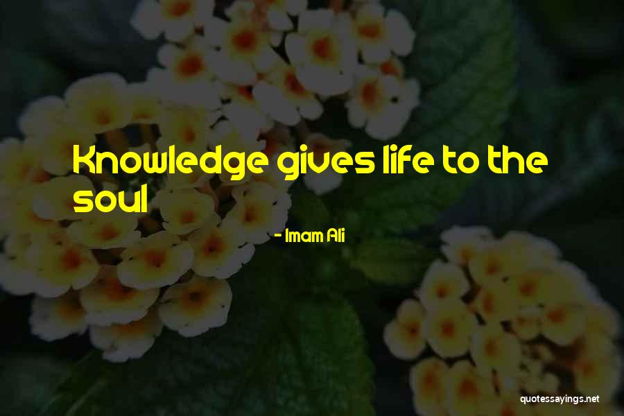 Lemez Felni Quotes By Imam Ali Lemez Felni Quotes By Imam Ali