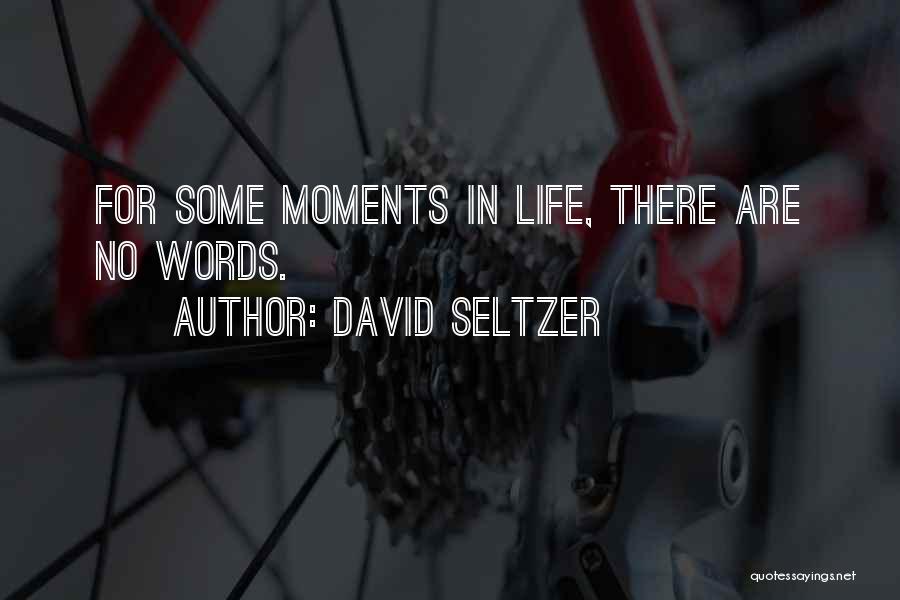 Lemezgar Zs Quotes By David Seltzer