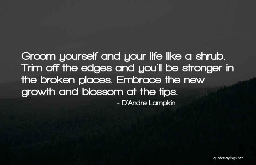 Lemmings Online Quotes By D'Andre Lampkin Lemmings Online Quotes By D'Andre Lampkin