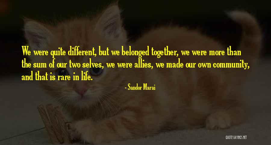 Lemonade Mouth Book Quotes By Sandor Marai Lemonade Mouth Book Quotes By Sandor Marai
