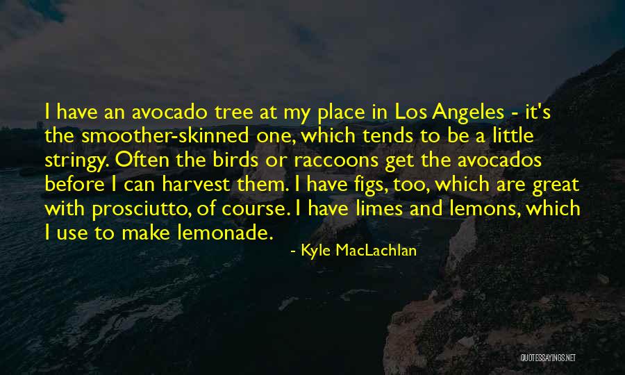 Lemonade Out Of Lemons Quotes By Kyle MacLachlan Lemonade Out Of Lemons Quotes By Kyle MacLachlan