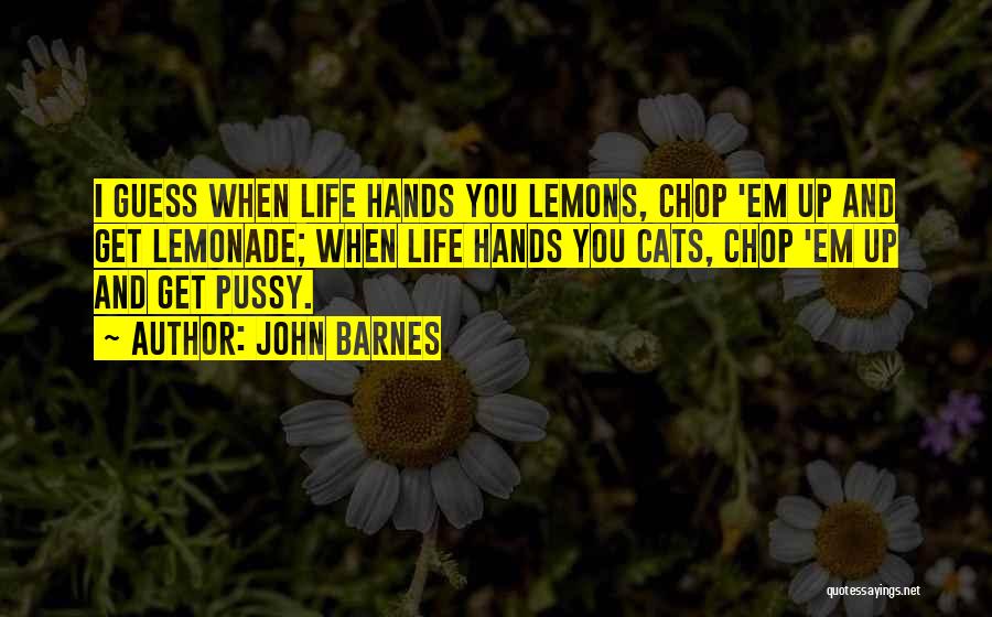 Lemons Into Lemonade Quotes By John Barnes