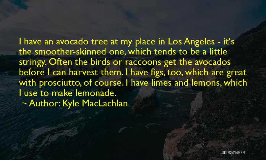 Lemons Make Lemonade Quotes By Kyle MacLachlan