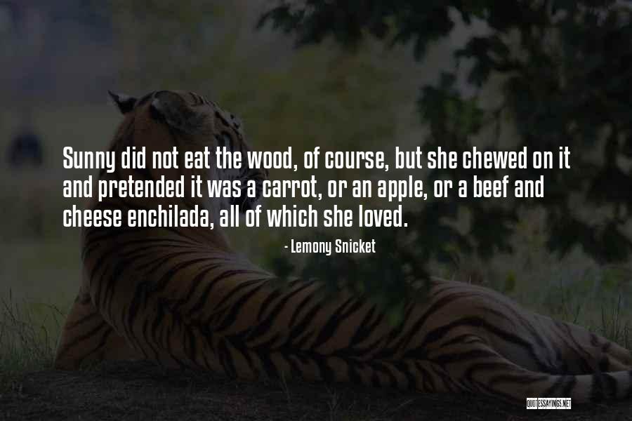 Lemony Snicket Best Quotes By Lemony Snicket Lemony Snicket Best Quotes By Lemony Snicket