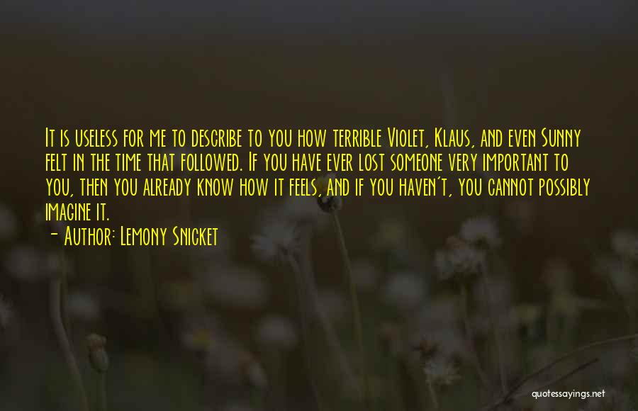 Lemony Snicket Quotes 1736717