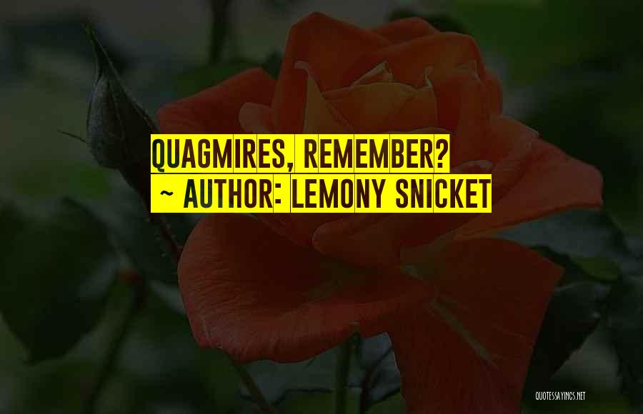 Lemony Snicket Quotes 1804063