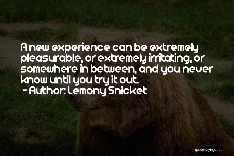Lemony Snicket Quotes 1985066
