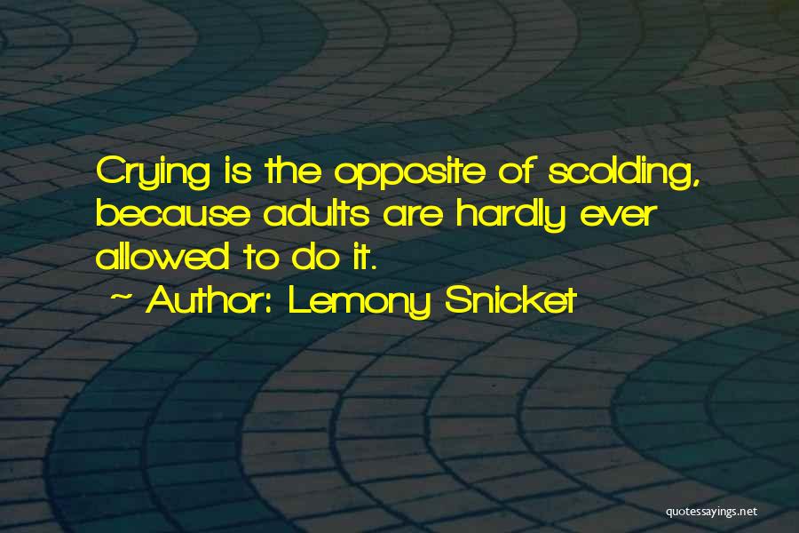 Lemony Snicket Quotes 2099443