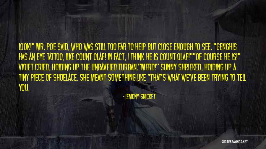 Lemony Snicket Series Unfortunate Events Quotes By Lemony Snicket