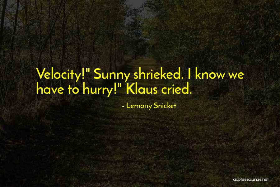 Lemony Snicket Series Unfortunate Events Quotes By Lemony Snicket