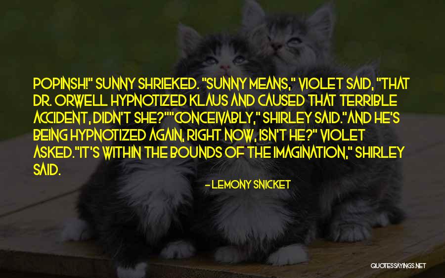 Lemony Snicket Series Unfortunate Events Quotes By Lemony Snicket