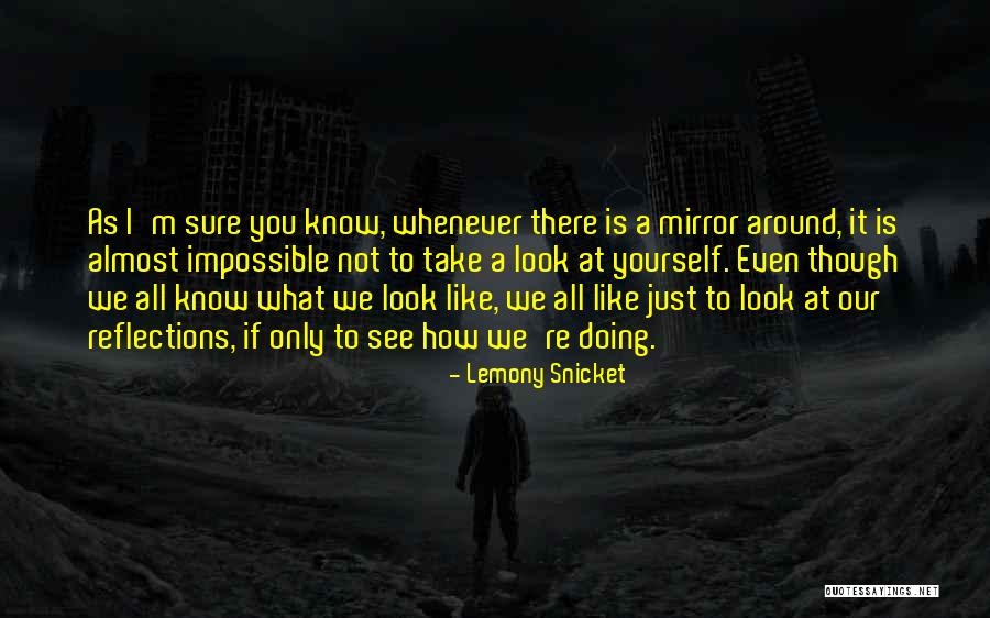 Lemony Snicket Series Unfortunate Events Quotes By Lemony Snicket