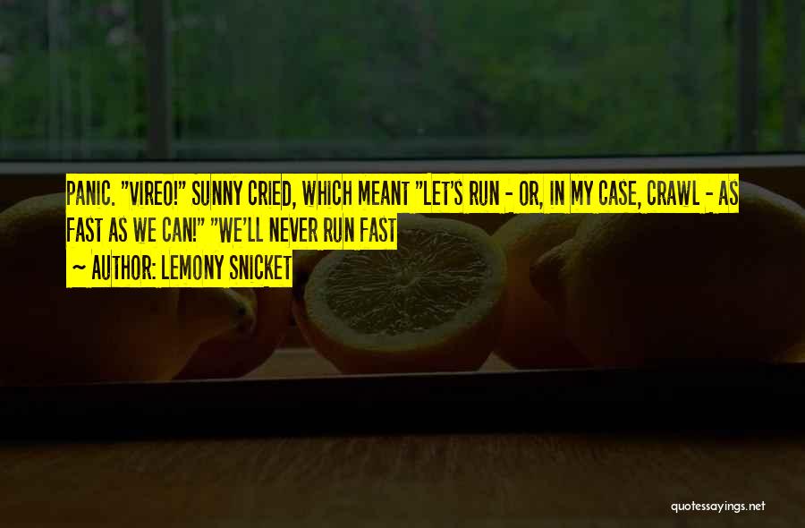 Lemony Snicket's Quotes By Lemony Snicket