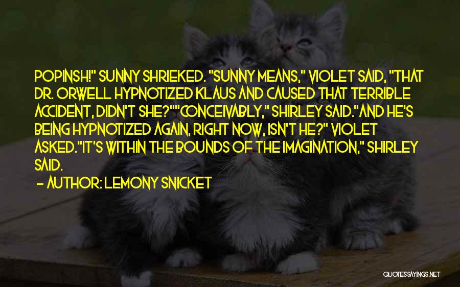 Lemony Snicket's Quotes By Lemony Snicket