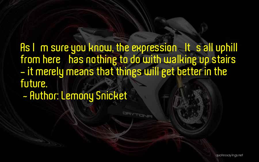 Lemony Snicket's Quotes By Lemony Snicket