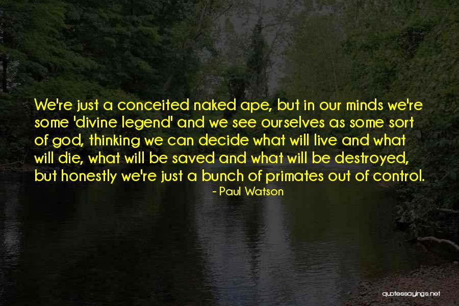 Lemures Competition Quotes By Paul Watson Lemures Competition Quotes By Paul Watson
