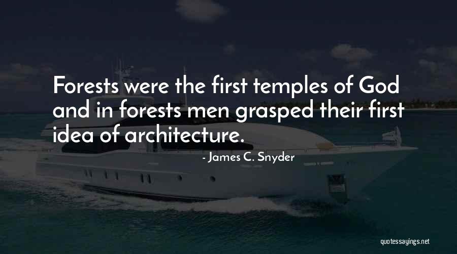 Lenergie Nucleaire Quotes By James C. Snyder Lenergie Nucleaire Quotes By James C. Snyder