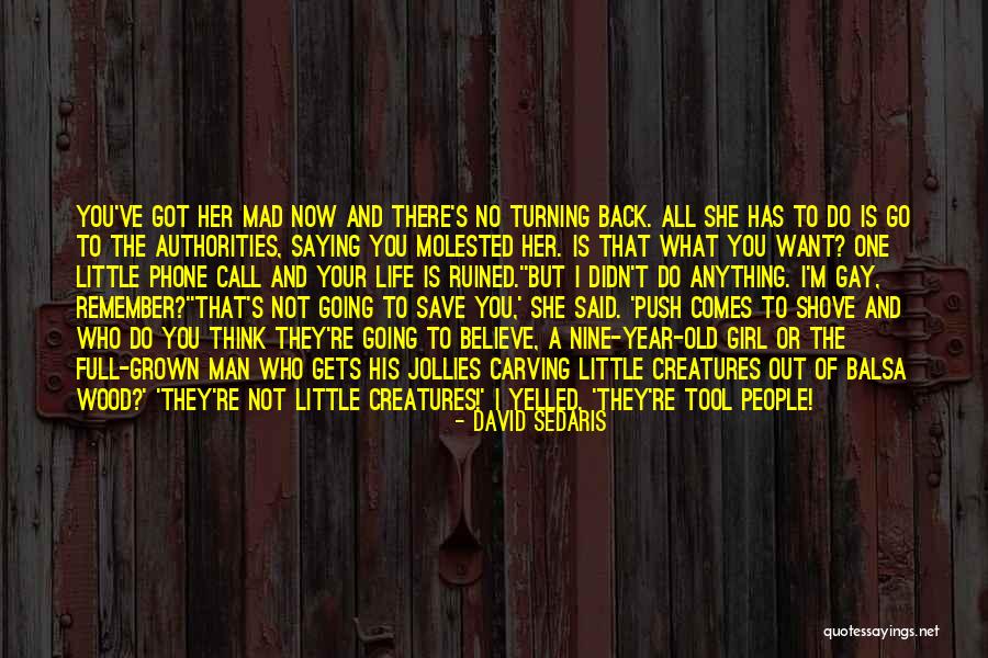 Lenferink Quotes By David Sedaris Lenferink Quotes By David Sedaris