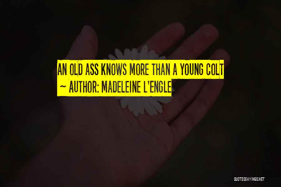 L'engle Quotes By Madeleine L'Engle