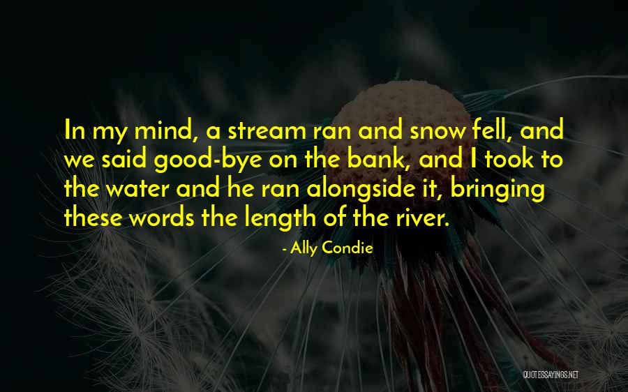 Length Quotes By Ally Condie Length Quotes By Ally Condie