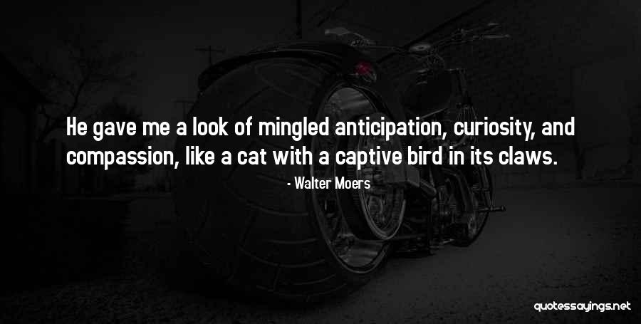 Lenguaje Coloquial Quotes By Walter Moers Lenguaje Coloquial Quotes By Walter Moers