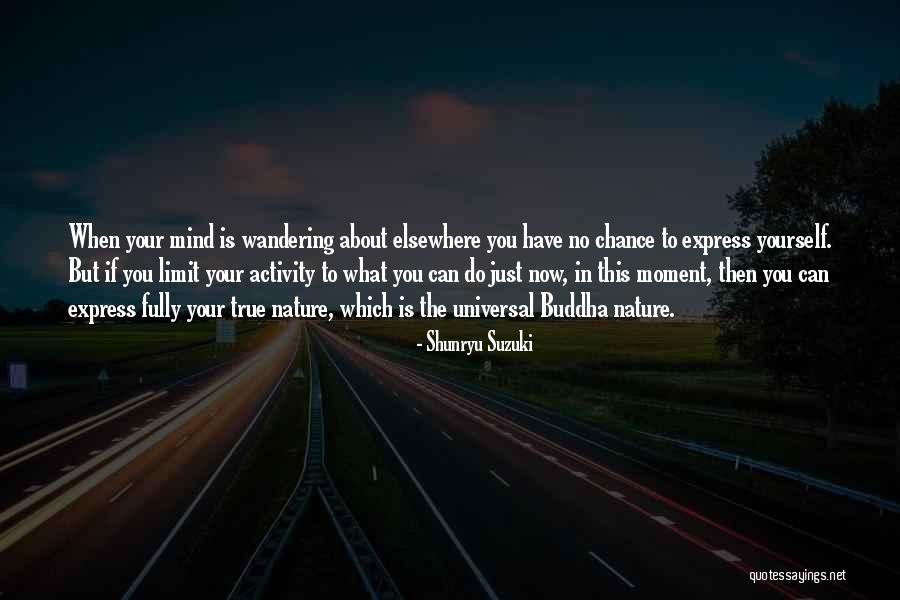 Leningrader Sinfonie Quotes By Shunryu Suzuki Leningrader Sinfonie Quotes By Shunryu Suzuki