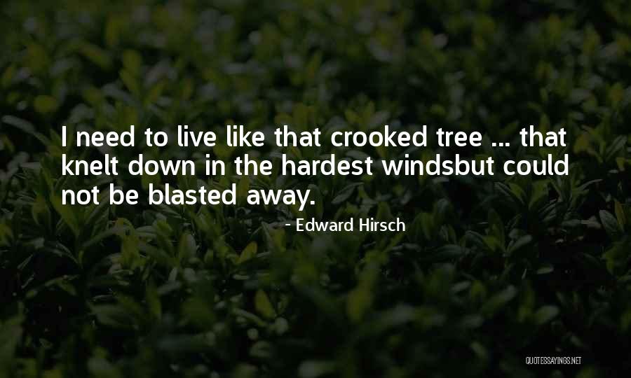 Lenitive Quotes By Edward Hirsch Lenitive Quotes By Edward Hirsch