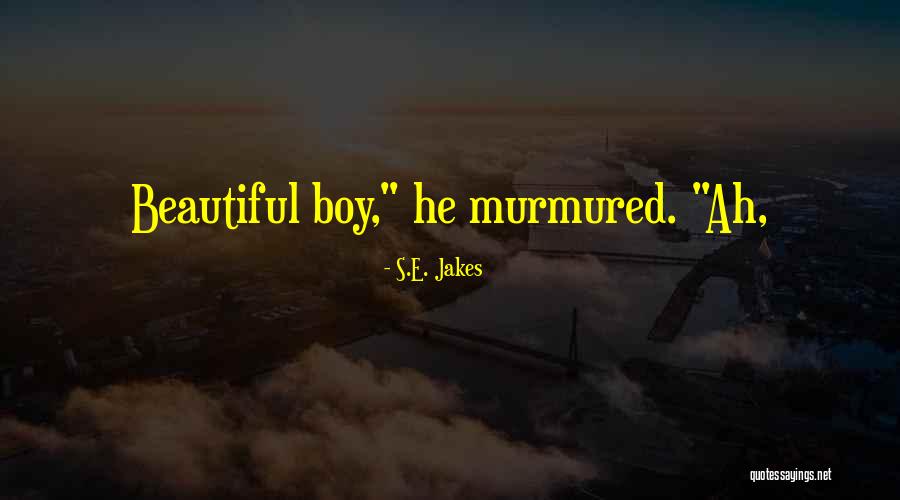 Lennik Stedenbouw Quotes By S.E. Jakes