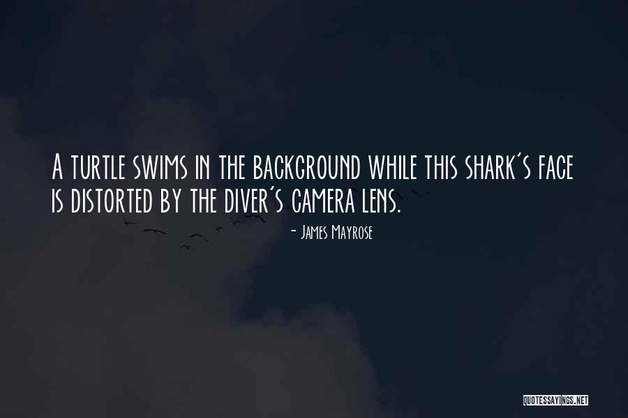 Lens Camera Quotes By James Mayrose Lens Camera Quotes By James Mayrose