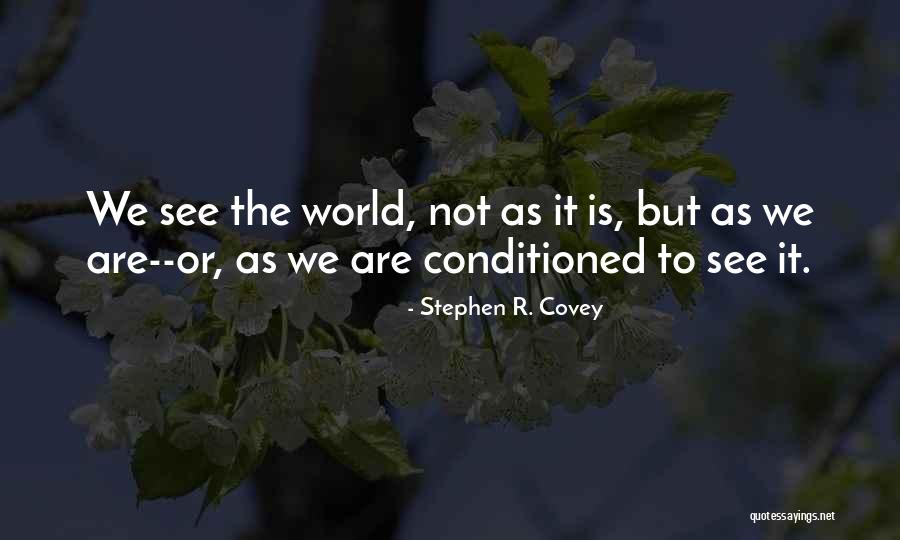 Lens Quotes By Stephen R. Covey