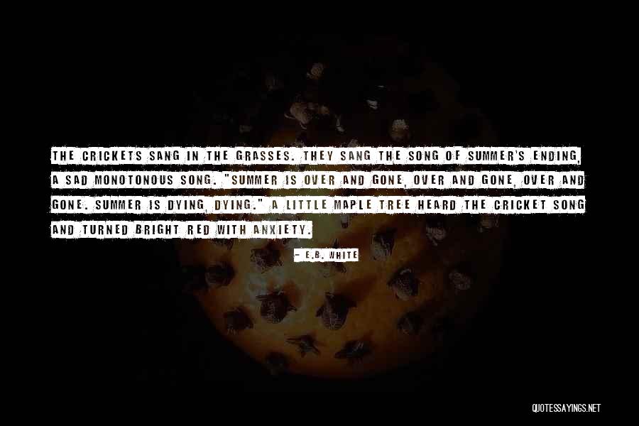 Lentilhas Vermelhas Quotes By E.B. White Lentilhas Vermelhas Quotes By E.B. White