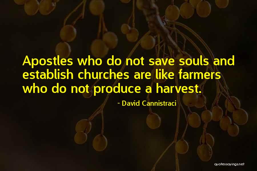 Lentynki Quotes By David Cannistraci Lentynki Quotes By David Cannistraci