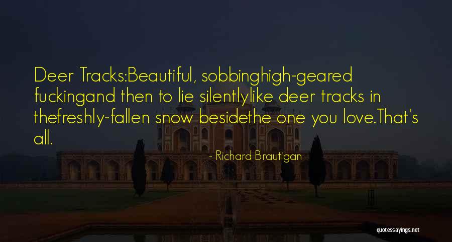 Lentynki Quotes By Richard Brautigan Lentynki Quotes By Richard Brautigan