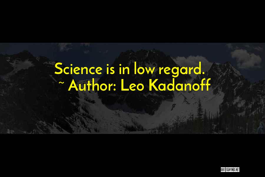 Leo Kadanoff Quotes 337262