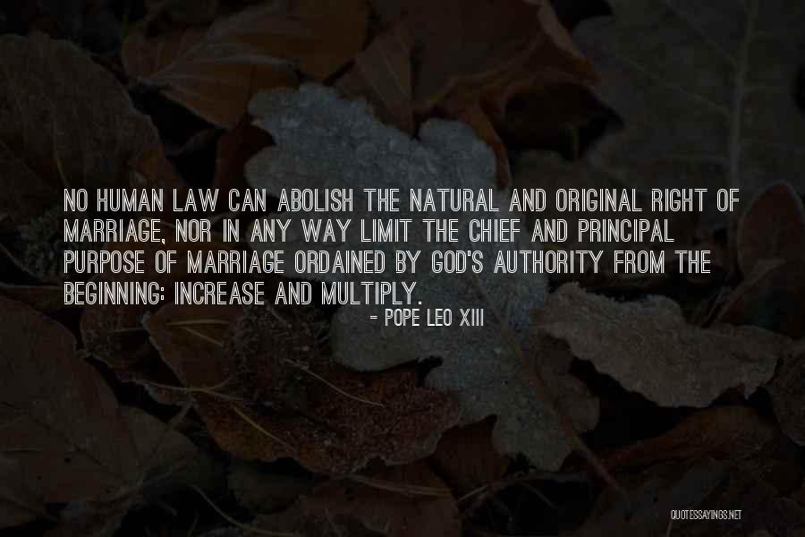 Leo Xiii Quotes By Pope Leo XIII