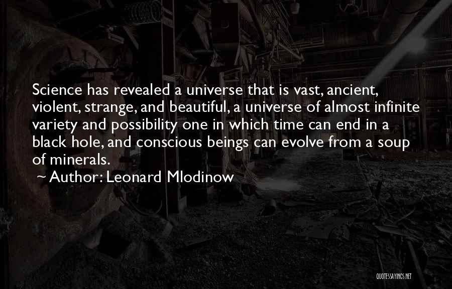 Leonard Mlodinow Quotes 1046363