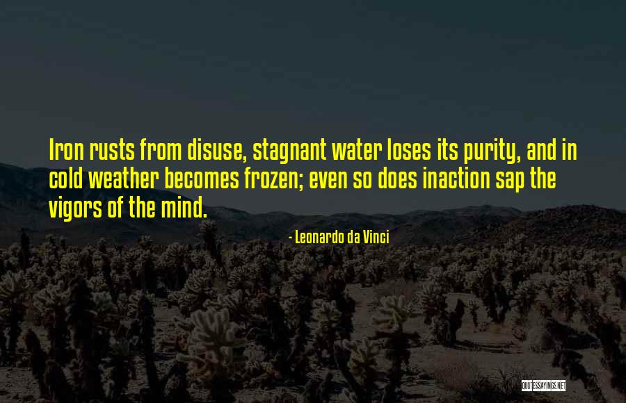Leonardo Da Vinci Quotes 1425050 Leonardo Da Vinci Quotes 1425050