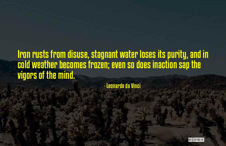 Leonardo Da Vinci Quotes 1425050