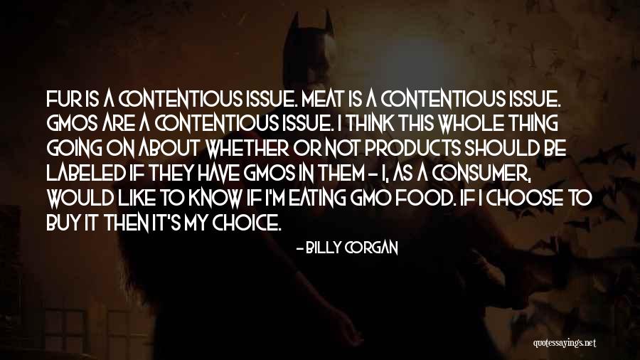Leonardos Basement Quotes By Billy Corgan Leonardos Basement Quotes By Billy Corgan