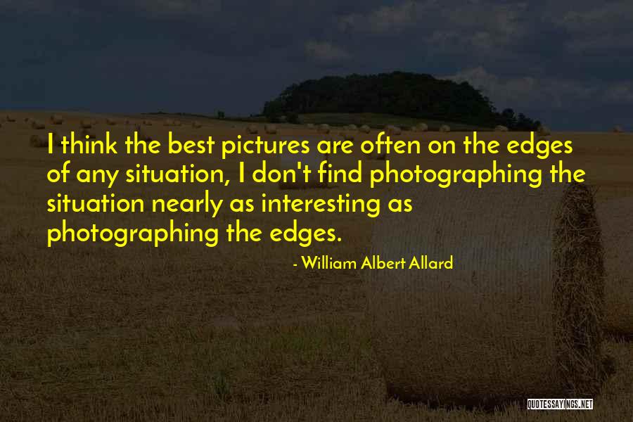 Leonbergers Quotes By William Albert Allard Leonbergers Quotes By William Albert Allard