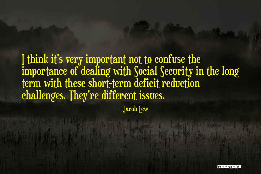 Leonello De Felice Quotes By Jacob Lew Leonello De Felice Quotes By Jacob Lew