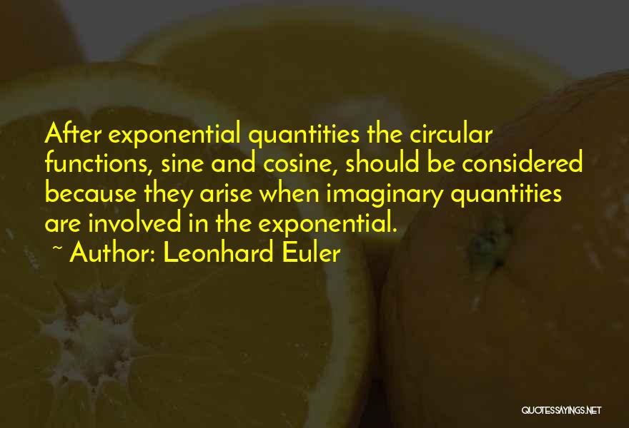 Leonhard Euler Quotes 403847