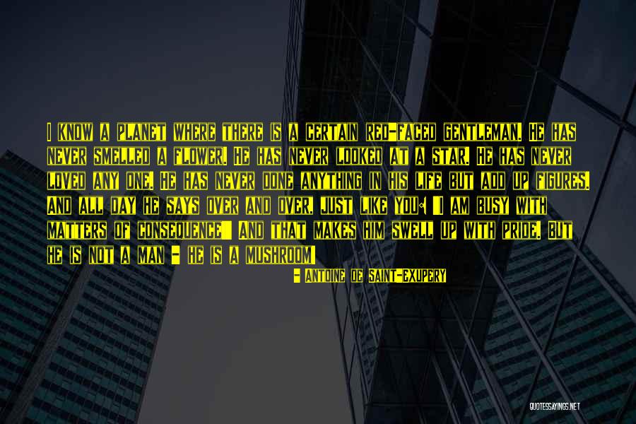 Leonilde Sena Quotes By Antoine De Saint-Exupery Leonilde Sena Quotes By Antoine De Saint-Exupery