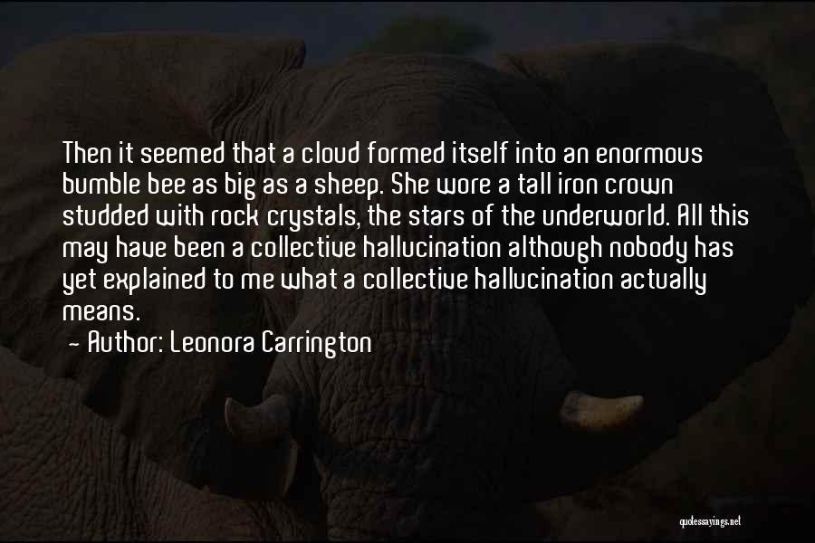 Leonora Carrington Quotes 1382975