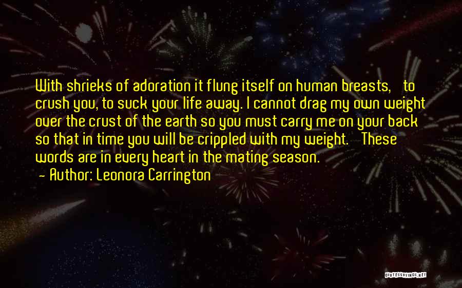 Leonora Carrington Quotes 1402492