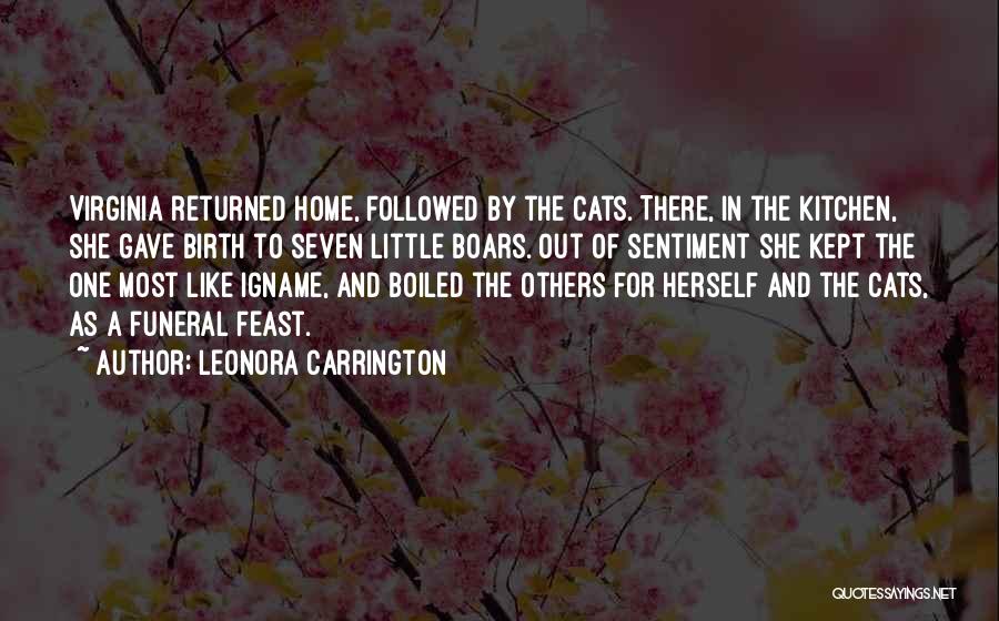Leonora Carrington Quotes 2000993